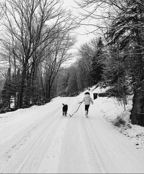 Winter Dog Walk Aesthetic, Winter Dog Aesthetic, Snow Winter Aesthetic, Dog In Snow, Winter Vision Board, Romantic Walk, Dog Snow, Canada Winter, Dog Cold