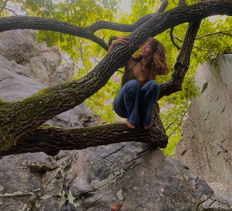 Climbing trees and exploring Sitting In A Tree Aesthetic, Tree Climbing Aesthetic, Climbing Trees Aesthetic, Girl Climbing Tree, Willa Grant, Climbing Trees, Butterfly Project, Hanging Upside Down, Tree Climbing