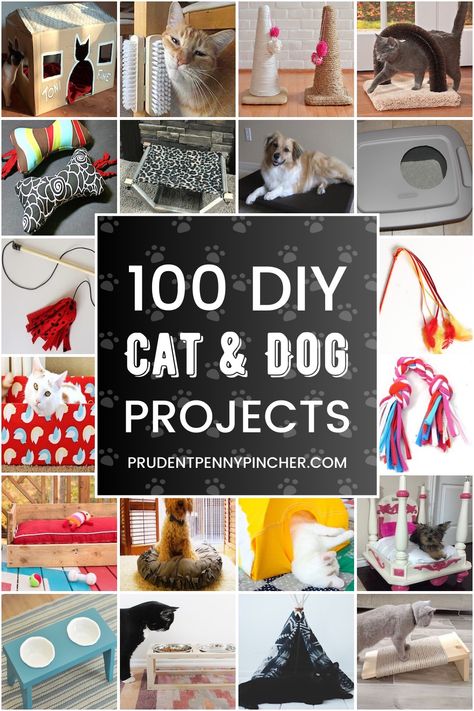 Save money on expensive pet supplies and make your own at home for less. From DIY dog beds to DIY cat toys, there are plenty of DIY pet ideas to choose from. Diy Pet Ideas, Cat Accessories Diy, Pet Accessories Diy, Pet Diy Projects, Diy Cat Shelves, Katt Diy, Cat Projects, Diy Cat Bed, Katt Grejer