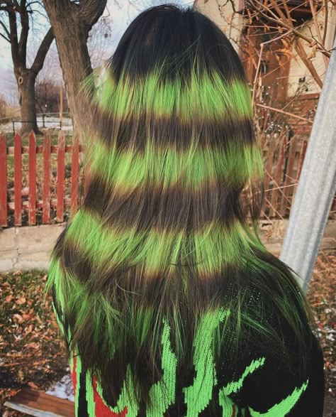 Black And Green Striped Hair, Green Calico Hair, Neon Green Hair Streaks, Green Roots Black Hair, Alt Hair Color, Alt Dyed Hair, Halloween Hairstyles For Short Hair, Green And Red Hair, Carmel Skin