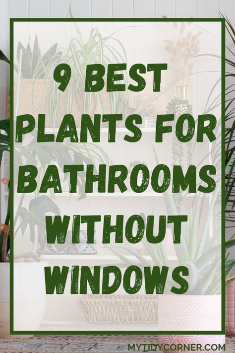 Plants in a bathroom and text overlay about low light plants for a windowless bathroom. Plants For Your Bathroom, Plant Decor Bathroom Small Spaces, Black Bathroom Plants, Plants In Restroom, Bathroom Decor With No Windows, Bathroom Garden Ideas, Window Plant Organization, Plant Inspired Bathroom, Flowers For The Bathroom