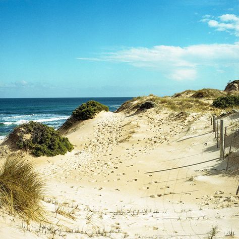 Rye Beach Rye, Mornington Peninsula, Victoria, Australia Australian Vacation, Beach Carnival, Rye Beach, Australian Beaches, Historic Houses, Mornington Peninsula, Beach Shack, Melbourne Victoria, Rock Pools