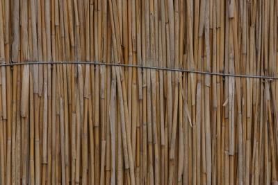 Reed Fencing On Ceiling, Reed Fence Ideas, Reed Fencing Ideas, Reed Fence, Reed Fencing, Fence Around Pool, Bamboo Garden Fences, Chicken Wire Fence, Kids Play Equipment