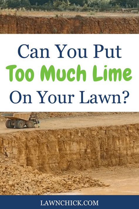 You're looking for exciting lawn improvement ideas, but don't forget the fundamentals! If your lawn's soil is too acidic, that's when you should put down lime. But there can quickly be too much of a good thing. While lime is useful for increasing an excessively low soil pH, if you put down too much, the pH can go to high, which means it will be too alkaline. But what if you've already put down too much lime and you don't know what to do? Learn all this and more here. Lime For Lawns, Garden Outdoor Ideas, Lawn Problems, Lawn Leveling, Lawn Pests, Weeds In Lawn, Lawn Fertilizer, Blueberry Bushes, Ph Level