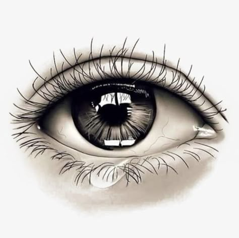 Ojo Tattoo, Realistic Eye Tattoo, Tattoo Eye, Crying Eyes, Eyes Artwork, Skeleton Hand Tattoo, Eye Sketch, Geniale Tattoos, Sketch Tattoo Design