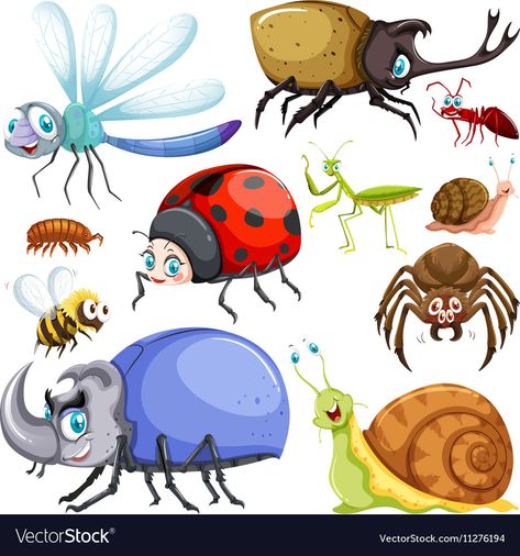 Insects Illustration, Bug Cartoon, Insect Clipart, Animal Images, Bee Art, Cute Cartoon Animals, Different Kinds, Cartoon Clip Art, Animals Images