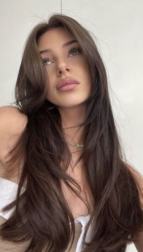 Dark Chocolate Brown Hair Straight, Easy To Maintain Haircut Long Hair, Dark Brown Mid Length Hair Straight, Light Brown Hair Blowout, Haircut Inspo Women, Brown Hair With Cool Undertones, Asia Hair Colour, Long Brown Hair Face Framing Layers, Brunette Long Layered Hair