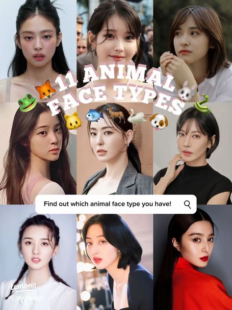 4 questions to find out your face type! 🦊🐰🐱🤍 | Gallery posted by Andrea 🩵🪽 | Lemon8 Makeup According To Animal Type, Pig Face Type Korean, Animal Type Makeup, Dog Pretty Face Type, Cat Face Type Korean, Animal Face Type Test, Korean Animal Face Type Chart, Korean Animal Face Type, Puppy Face Type