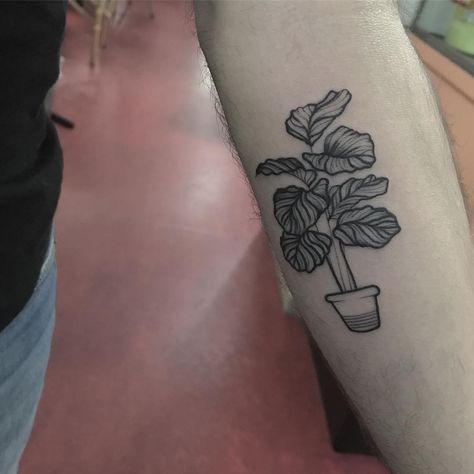 BRU SIMÕES • 🇧🇷🇳🇱 on Instagram: “➖Calathea plant for Rodrigo ➖ 🖤⚡️ #tttism #amsterdamtattoos #tattrx” Maranta Tattoo, Calathea Plant Tattoo, Calathea Tattoo, Calathea Drawing, Cats And Plants Tattoo, Cat With Plants Tattoo, Houseplant Tattoo, Serious Tattoos, Plant Tattoos