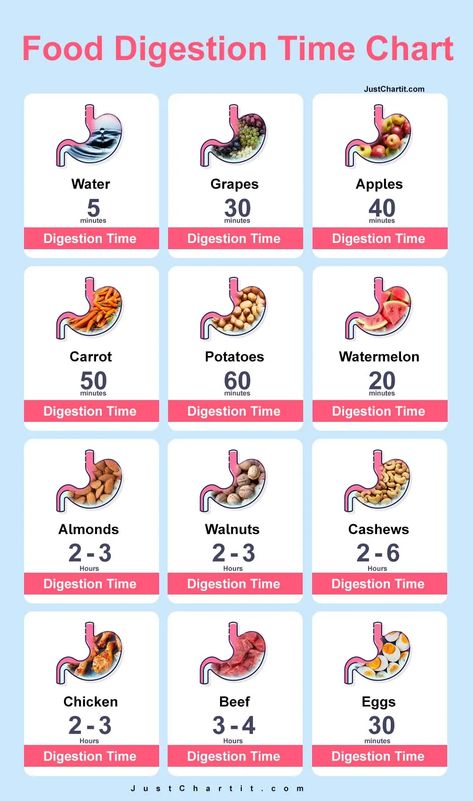 Food Digestion Time Chart, Food Digestion, Food For Digestion, Low Cal Recipes, Food Charts, Better Life Quotes, Types Of Food, Food For Thought, Meal Time