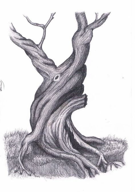 Old Tree Drawing by LaLupo on deviantART Old Tree Drawing, Twisty Tree, Oak Tree Drawings, Tree Drawings Pencil, Twisted Tree, Tree Tattoo Designs, Tree Sketches, Old Oak Tree, Watercolour Inspiration