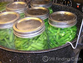 Ball Canning Green Beans, Canning Fresh Green Beans Water Bath, Green Bean Canning Recipes Water Bath, How To Can Green Beans Without A Canner, Waterbath Canned Green Beans, Canning Green Beans Without A Pressure Cooker, Canning Green Beans Recipes, Canning Green Beans In A Water Bath, Waterbath Canning Green Beans