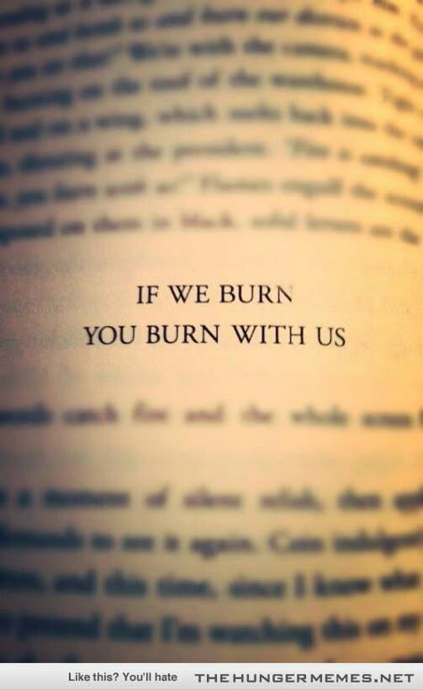 If we burn, you burn with us The Hunger Games Books, Hunger Games Wallpaper, Hunger Games Fan Art, Games Quotes, Games Wallpaper, Hunger Games Books, Hunger Games Quotes, Hunger Games Fandom, Hunger Games 3