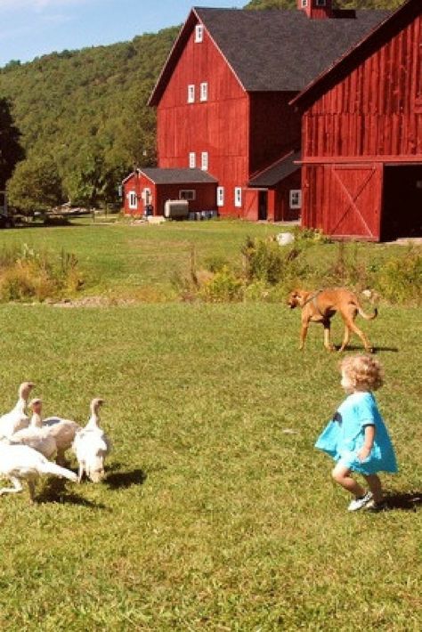 Ny Aesthetic, Woodstock New York, New York House, Outdoor Thanksgiving, Catskills Ny, Utah Camping, Woodstock Ny, Hiking Club, Red River Gorge