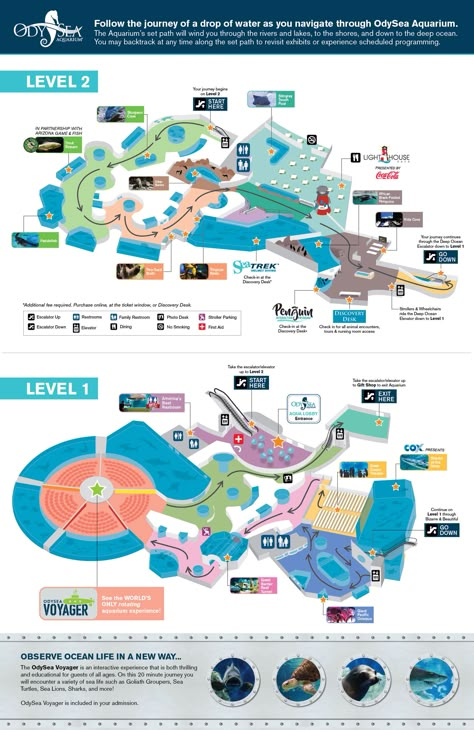 OdySea Aquarium, Scottsdale, AZ Odysea Aquarium Scottsdale, Aquarium Infographic, Restaurant Plan Design, Fish Museum, Aquarium Museum, Architecture Thesis Topics, Movie Infographic, Theme Park Planning, Ground Plan