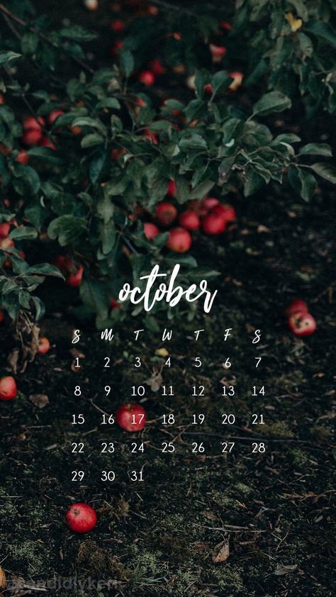 Paper Ipad, 2017 Wallpaper, Mobile Wallpaper Android, October Calendar, Wall Paper Phone, Calendar Wallpaper, Makeup Clothes, Autumn Nature, Fall Wallpaper