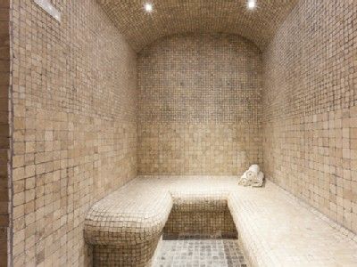 Steam Room Design, Sauna Steam Room, Pool Bathroom, Steam Room, Steam, Room Design, Pool, Google Search, Quick Saves