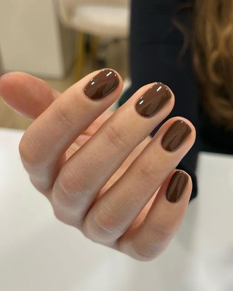 Katie on Instagram: "🤎 @biosculpturegelgb Sunset Boulevard @officialnavyprofessional • • #naturalnails #manicure #biosculpture #yorknails" Short Nail Colors, Brown Nails Ideas, Popular Nail Colors, Brown Nail Polish, Brown Nail, Nails Brown, Nagellack Trends, Nail Brown, Sunset Boulevard