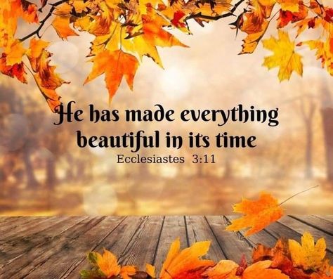 Fall Pictures With Scripture, Autumn Scripture, Autumn Bible Verses, Encouraging Scripture Quotes, Encouraging Bible Quotes, Powerful Bible Verses, Blessed Quotes, Biblical Verses, Encouraging Scripture