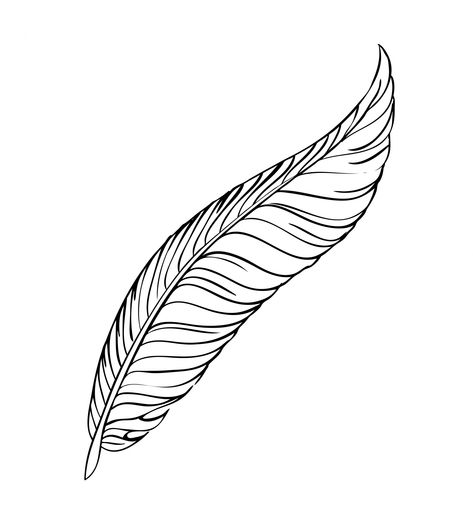 PublicDomainPictures.net - Free Download - Feather Line Art Feather Coloring Pages Free Printable, Feather Colouring Page, Feather Texture Drawing, Feather Drawing Biro, Feather Clipart Black And White, Feather Illustration, Feather Drawing, Graphics Designer, Pictures To Draw