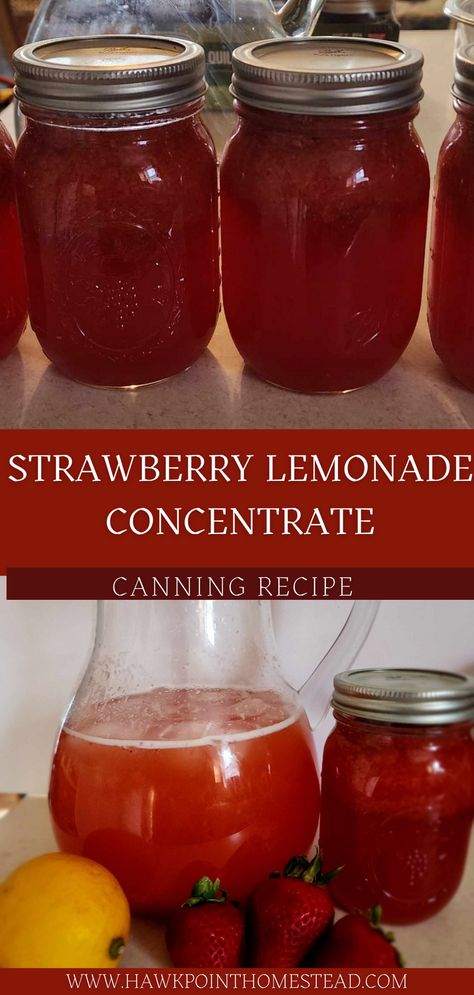 This strawberry lemonade concentrate canning recipe is such an easy way to have a refreshing drink ready to go at any time. Who doesn’t love strawberries and lemonade! This takes just 3 ingredients, and a little work, you can have this refreshing lemonade with the wonderful taste of strawberries at a moment’s notice. Bottled Strawberry Lemonade, Canned Strawberry Lemonade Concentrate, Watermelon Lemonade Concentrate, Blueberry Lemonade Concentrate Canning, Best Strawberry Lemonade Recipe, Strawberry Lemonade Concentrate Canning, Healthy Canning Recipes, Canning Drink Concentrate, Canning Lemonade Concentrate