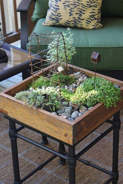 24 of The Most Beautiful Ideas on Indoor Mini Garden to Collect homesthetics (26) Mini Jardin Zen, Faeries Gardens, Indoor Gardens, Diy Fairy, Fairy Garden Diy, Cactus Y Suculentas, Kew Gardens, Decor Minimalist, Miniature Garden