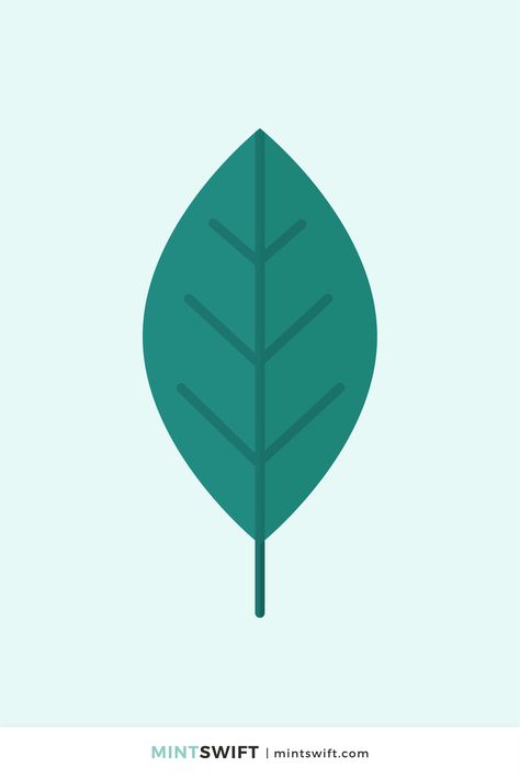 Illustration Challenge, Dark Green Colour, British Beaches, Rainy City, Nature Food, Web Design Packages, Cactus Illustration, Flat Design Illustration, Simple Leaf