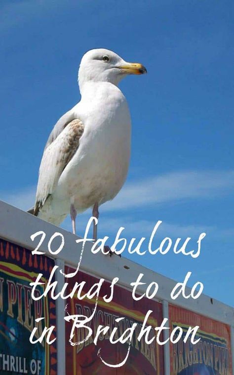 Reasons to visit Brighton - 20 ideas of things to do and see Uk Money, Money Saving Advice, Life On A Budget, Zip Line, Family Budget, Romantic Destinations, Family Travel Destinations, Parenting Blog, Ways To Travel