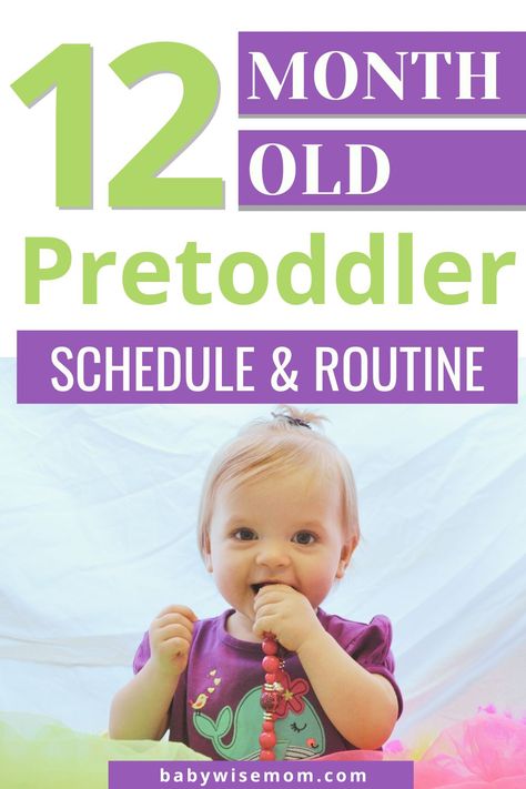 12 month old pretoddler schedule and routine. 12 month old schedule. Baby schedule for baby’s 53rd week. Baby schedule and routine for the fifty-third week of life. 52-week-old baby routine and daily life. Learn about weaning from breastfeeding, dropping the bottle, birthday gifts for a 1 year old, and camping with a pretoddler. 15 Month Old Schedule, 12 Month Old Schedule, Toddler Tantrums, Baby Routine, Toddler Schedule, Camping With A Baby, Baby Schedule, Tantrums Toddler, Help Baby Sleep