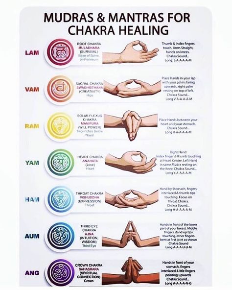 YOGA HEALERS on Instagram: “Know your chakras and heal them with these mudras 😇❤️ . Do not forget to save and share with your friends and family ❤️... . . 🧚‍♂️…” Muladhara Chakra, Yoga Daily, Hand Signs, Chakra Activation, Yoga Guru, Balanced Mind, Spiritual Yoga, Yoga Iyengar, Yoga Therapy