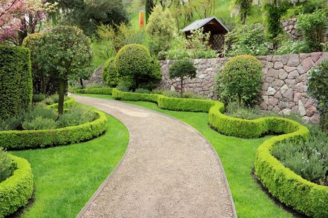 Moderne Have, Backyard Walkway, Garden Hedges, Driveway Paving, Walkway Ideas, Brick Garden, Budget Garden, Classic Garden, Large Backyard