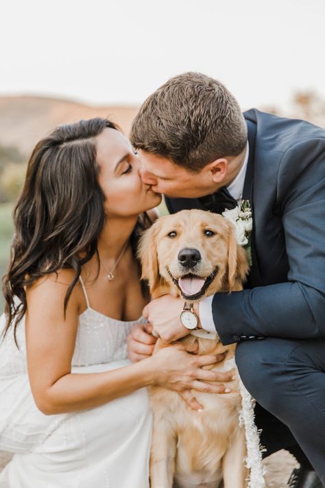 First Look With Dog Wedding, Bride Dog Pictures, Bridal Pictures With Dog, Dog And Wedding, Wedding With Dog Photos, Dog Wedding Ideas Receptions, Dog Wedding Photoshoot, Bridals With Dog, Wedding Couple With Dog