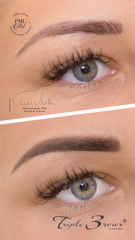 Eye Brow Tattoo Before And After, Eyebrow Tattoo Ideas, Eyebrows For Face Shape, Cosmetic Tattoo Eyebrows, Permanent Eyebrow Tattoo, Mircoblading Eyebrows, Combo Brows, Big Eyebrows, Micro Pigmentation