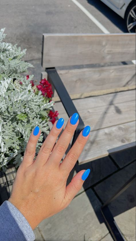 Blue Nails Round, Short Round Acrylic Nails Summer, Oval Nails Blue, Short Round Nails Summer, Summer Round Nails, Solid Blue Nails, Blue Round Nails, Cute Round Nails, Round Nails Summer