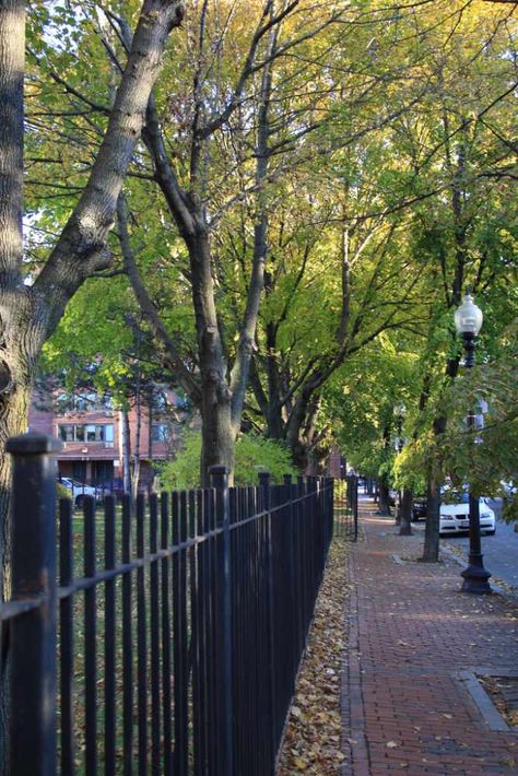 The South End South End Boston, Boston South End, Brick Sidewalk, Boston History, South Boston, Leaf Peeping, St Paddys, Washington Street, Boston Wedding