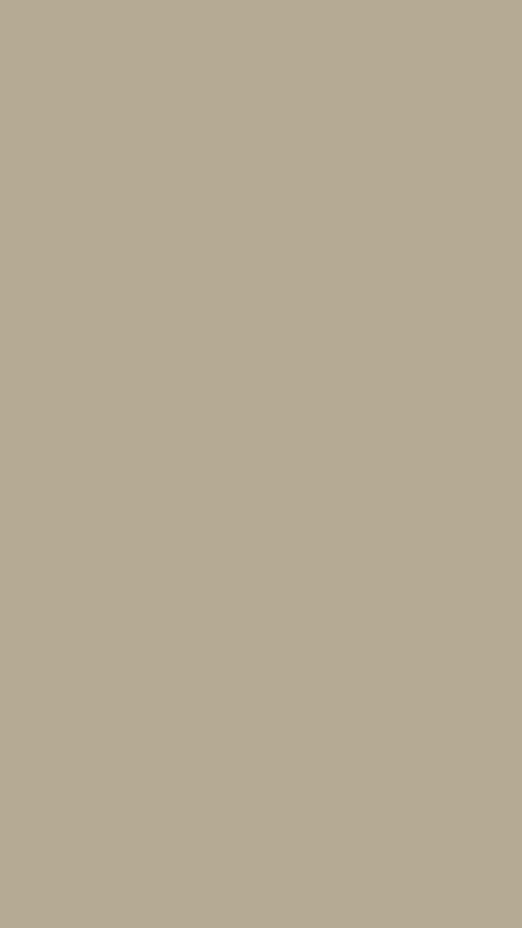 Brown Paint Colors, Stone Lion, Color Wallpaper Iphone, Plains Background, Neutral Wallpaper, Plain Wallpaper, Wallpaper Ipad, 背景 シンプル, Brown Paint