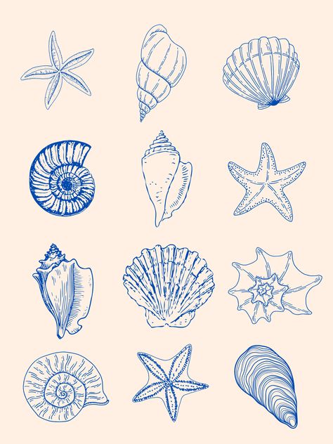 Blue shells with neutral background Seashell Poster, Bad Room, Neutral Background, Summer Wallpaper, World Traveler, Phone Backgrounds, Bedroom Makeover, The Hamptons, Watercolor Art