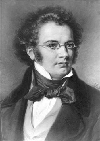 Franz Schubert Franz Peter Schubert, Romantic Composers, Franz Schubert, Classical Music Composers, Famous Composers, Classical Musicians, Amadeus Mozart, Historical People, People Of Interest