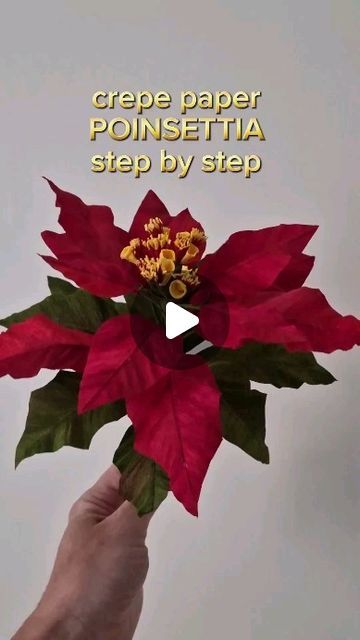 426 likes, 28 comments - fleurs.de.crepon on November 4, 2024: "Imagine making your own crepe paper poinsettia this Christmas ... This simple step by step will show you how. You can vary the size at your convenience and create your own elegant decoration, surprise your dear ones with fancy gift toppers or just enjoy the process ! #paperflower #paperart #handmadeflower #diyflower #paperflorist #fleurenpapier #artistepapier #poinsettia #christmas2024 #flowersbystaufenwerola". Poinsettia Flowers Diy, Paper Ponsetia, Handicrafts Ideas For Business, Crepe Paper Christmas Flowers, Paper Poinsettia Flower Diy, Crepe Paper Christmas Decorations, Paper Poinsettia, Trending Crafts, Paper Christmas Decorations