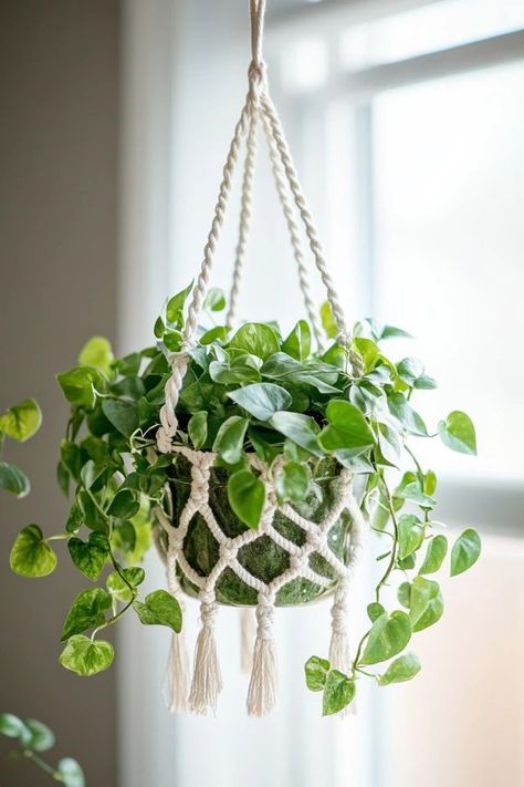 "Create stunning plant displays with DIY Macramé Plant Hangers! 🧶🌿 Perfect for adding a handmade, artistic touch to your home. 🌟✨ #BohoDecor #MacrameCrafting #PlantLovers" Easy Macrame Plant Hanger, Diy Macramé, Wall Hanging Decorations, Indoor Plant Wall, Macrame Hanging Planter, Hanging Plant Wall, Plants Wall, Diy Macrame Plant Hanger, Indoor Gardens