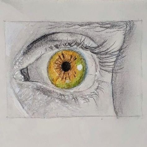 Hazel Eye Drawing, Hazel Eyes Drawing, Eyes Sketch, Hazel Green Eyes, Hazel Green, Eyes Drawing, Hazel Eyes, Eye Drawing, Drawing Tips