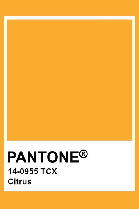 Pantone Citrus Yellow Colour Pantone, Pantone Tcx Yellow, Yellow Pantone Colour Palettes, Pantone Colors Yellow, Yellow Pantone Color, Autumn Pantone, Gold Pantone Color, Yellow Gold Wallpaper, Pantone Orange