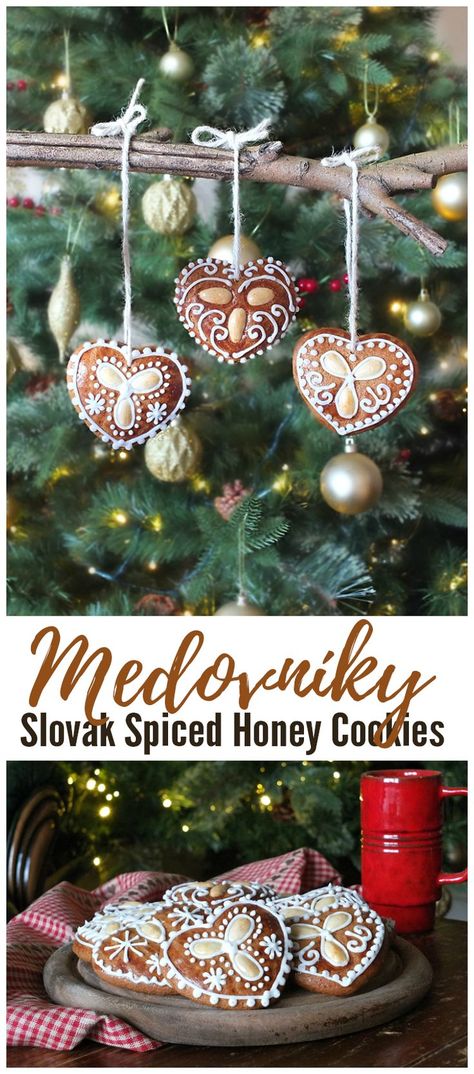 A traditional Christmas cookie recipe from Slovakia. #christmas #cookies #gingerbread #medovniky Circus Chic, Honey Cookies Recipe, Kitchen Diary, Christmas Cookies Gingerbread, Dreamy Christmas, Traditional Christmas Cookies, Spiced Honey, Xmas Recipes, Xmas Baking