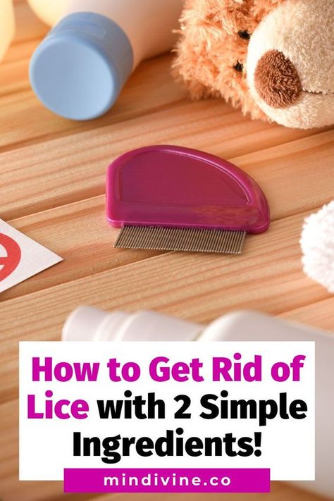 Did you know that you can get rid of lice without expensive chemicals? We show you how to do it easily at home with just 2 natural ingredients. Follow our step-by-step guide and get rid of lice fast. Getting Rid Of Lice Fast, How To Get Rid Of Lice Fast, How To Get Rid Of Lice, Lice Remedies How To Get Rid Of, Home Lice Remedies, Getting Rid Of Nits, How To Treat Lice, Lice Remedies, Hair Lice