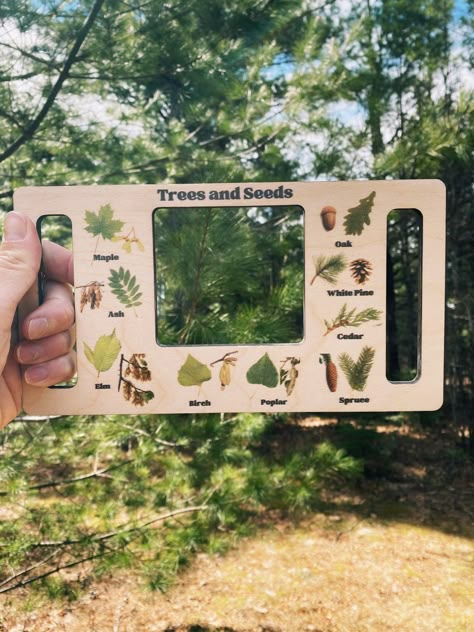 Nature Window Nature Hunt Nature Identifier Nature Guide - Etsy Animal Presentation Ideas, Nature School Aesthetic, Nature Hunt For Kids, Dress Gender Reveal, Leaf Hunt, Diy Christmas Card Ideas, Nature Guide, Gender Reveal Dress, Diy Christmas Card