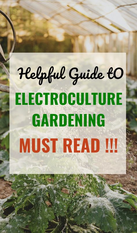 New to Electroculture Gardening? Here's our beginner's guide for everything you need to know about electroculture plant set up! Discover the fundamentals of this innovative gardening technique, from understanding its principles to practical tips for implementation. / electroculture gardening diy electroculture plants electroculture gardening ideas / Electroculture Gardening Diy, Electro Culture Gardening, Electroculture Diy, Electro Gardening, Allotment Plan, Electroculture Gardening, Chook House, Electro Culture, Conservation Of Energy