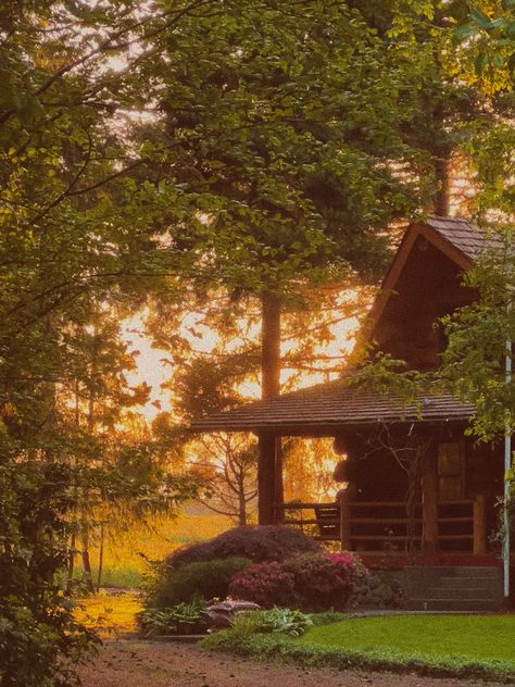 #cabin #summer #airbnb #travel Charity Ferrell, Cabin In The Woods Aesthetic, Cabin Summer, Summer Camp Aesthetic, Cute Cabins, Old Cabin, Summer Cabin, A Cabin In The Woods, Cabin Aesthetic