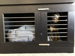 Modern Dog Kennel (Ikea Malm Hack) : 15 Steps (with Pictures) - Instructables Ikea Hack Dog Crate, Dog Kennel From Dresser, Diy Wood Kennel Cover, Modern Dog Kennel, Dog Crate Tv Stand Minimalist, Ikea Hol Dog Crate, Ikea Malm Desk, Malm Hack, Ikea Kids Room