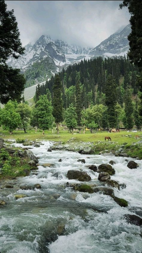 Kashmir India Beauty, River Wallpaper Nature, River Aesthetic Wallpaper, Kashmir Wallpaper, Kashmir Mountains, Kashmir Nature, Kashmir Aesthetic, Mountain Aesthetic Wallpaper, Dumas Beach