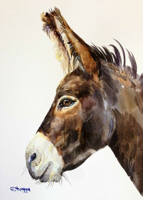 Donkey Drawing, Farm Animal Paintings, Cute Donkey, Diy Watercolor Painting, Barnyard Animals, Equine Art, Donkeys, Praise God, Watercolor Animals